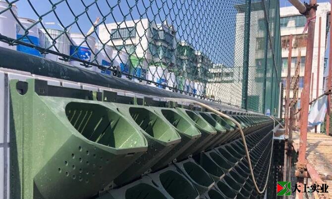 運動場圍網(wǎng)安裝