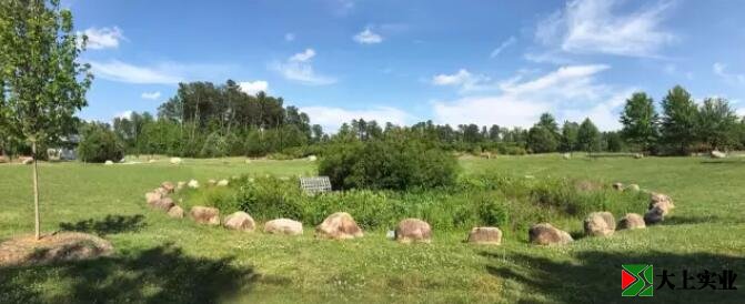 圖1 社區(qū)公園中有起伏的自然場(chǎng)地