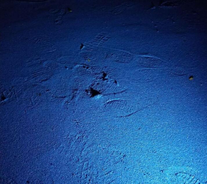 可惡！公園的塑膠跑道施工遭遇不文明行為人