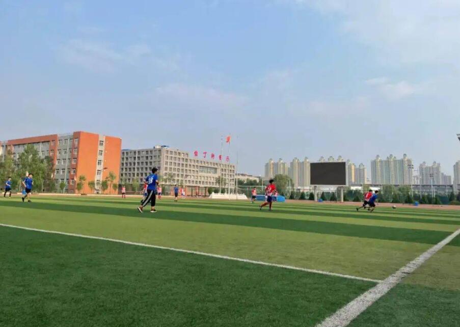 足球場(chǎng)用什么草坪