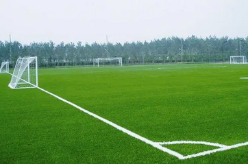 大上實業(yè)人造草